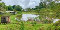 Farms and Acreages for Sale in Turrialba, Cartago $325,000