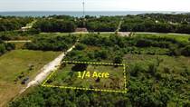 Lots and Land for Sale in Consejo, Corozal $17,500