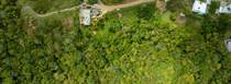 Lots and Land for Sale in Bo. Laguna, Aguada, Puerto Rico $179,500