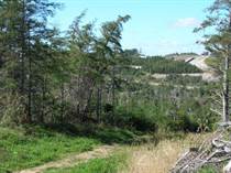 Lots and Land for Sale in Conception Bay South, Newfoundland and Labrador $259,900