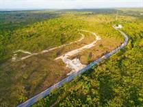Lots and Land for Sale in Punta Cana, La Altagracia $24,000