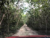 Lots and Land for Sale in Tulum, Quintana Roo $182,000