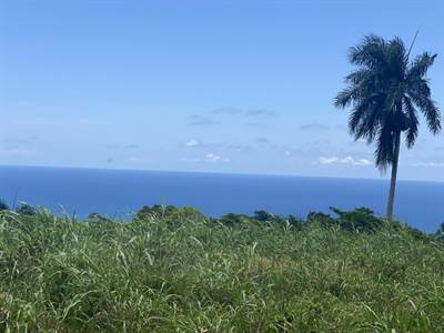90+ Acre Oceanview Majestic Farm Nestled in DR North Coast  Hills!  Spectacular Views