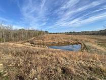 Lots and Land for Sale in Hurricane Grove, Mount Ida, Arkansas $171,000
