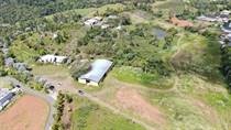 Farms and Acreages for Sale in Bo. Quebradilla, Barranquitas, Puerto Rico $3,799,998