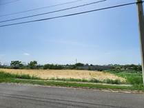 Lots and Land for Sale in Bejucos, Isabela, Puerto Rico $195,999