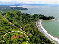 Lots and Land for Sale in Ballena, Puntarenas $977,000