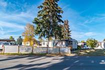 Homes for Sale in Redcarpet/Mountview, Calgary, Alberta $74,900