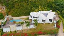 Homes for Sale in Tintillo Hills, Guaynabo, Puerto Rico $3,500,000