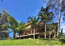 Homes for Sale in Jarabacoa, La Vega RD$26,600,000