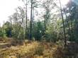 Lots and Land for Sale in Lee, Florida $28,900