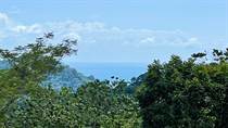 Lots and Land for Sale in Ojochal, Puntarenas $59,900