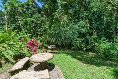 Uvita Real Estate - Investment Property