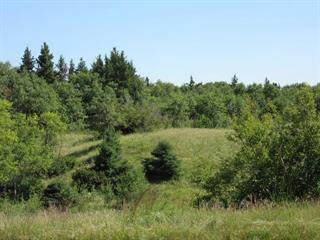 LUSH VEGETATION FEATURED ON THESE LARGE LOTS - ONLY 1/3 OF THE LOTS CAN BE DEVELOPED, LEAVING A BEAUTIFUL NATURAL AMBIENCE IN THE AREA! EXPLORE NATURE RIGHT FROM YOUR BACK YARD! MANY SNOWMOBILE & QUAD TRAILS NEARBY - WHICH ALSO CAN BE USED FOR HUNTING!