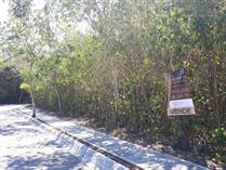 Lots and Land for Sale in Playa del Carmen, Quintana Roo $219,589