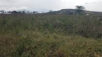Lots and Land for Sale in Naivasha KES1,500,000