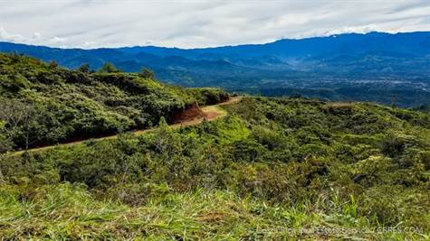 Dominical Real Estate - Farms and Land for Sale