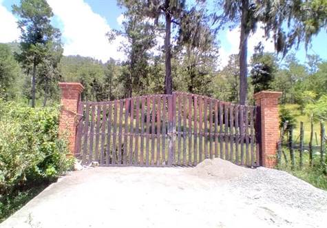 entry gate