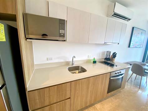 IPANA 1 Bedroom condo for sale fully furnished