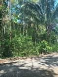 Lots and Land for Sale in Esterillos, Puntarenas $35,000