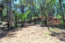 Lots and Land for Sale in Ojochal, Puntarenas $150,000