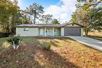 Homes for Sale in Circle M Ranchettes, Dunnellon, Florida $350,000