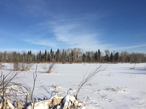 RM of Kinistino No. 459 - 159.01 ac., Kinistino, Saskatchewan, by Jeff ...