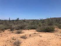 Lots and Land for Sale in El Pescadero, Baja California Sur $70,000