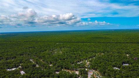 Single-family lot for sale in Tulum
