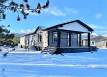 Homes for Sale in Valemount, British Columbia $419,900