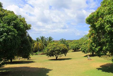 Barbados Luxury,   View of Additional Land From Property