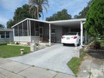 Homes for Sale in Forest Lake Estates, Zephyrhills, Florida $40,000