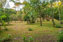 Lots and Land for Sale in Ojochal, Puntarenas $220,000