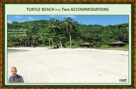 22. Turtle Beach
