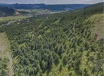Lots and Land for Sale in Lumby, British Columbia $4,500,000
