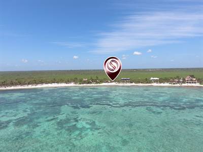 Oceanfront land, Reduced Price 19 meters of beachfront, in Soliman Bay, Tulum for sale., Lot ALTU208, Playa del Carmen, Quintana Roo