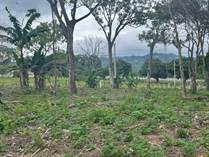 Lots and Land for Sale in Barrio Mercedes, Atenas, Alajuela $115,000