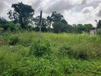 Lots and Land for Sale in Finca Solana, Corozal $25,000