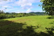 Lots and Land Sold in Tres Rios, Puntarenas $123,000