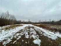 Lots and Land for Sale in Richland, New York $49,900