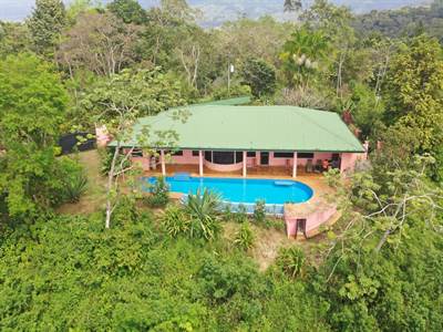 5.2 ACRES - 2 Bed Home W 60 Ft Infinity Lap Pool,Guest House, Fabulous Ocean View, Fruit Trees!