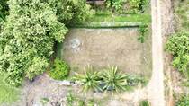 Lots and Land for Sale in San Buenaventura, Dominical, Puntarenas $30,900