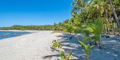 Once-in-a-lifetime Beachfront Concession Lot with Quiet Bay in Malpaís
