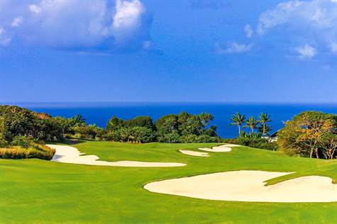 Barbados Luxury Properties - Golf