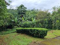 Lots and Land for Sale in Sarchi, Alajuela $86,000