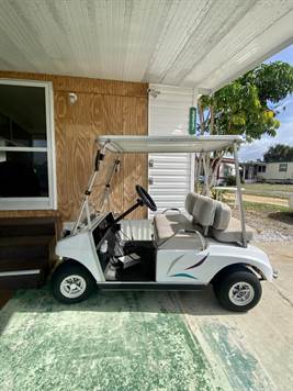 Golf Cart Included with charger