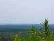 Lots and Land for Sale in Quepos, Puntarenas $250,000
