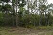 Lots and Land for Sale in Pine Ridge, Beverly Hills, Florida $54,000