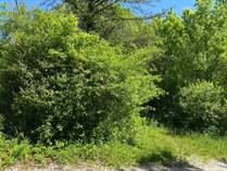 Lots and Land for Sale in Spencer, Indiana $21,900