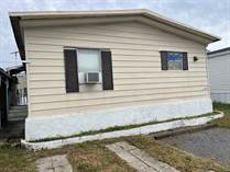 Homes for Sale in Lamplighter On The River, Tampa, Florida $65,900